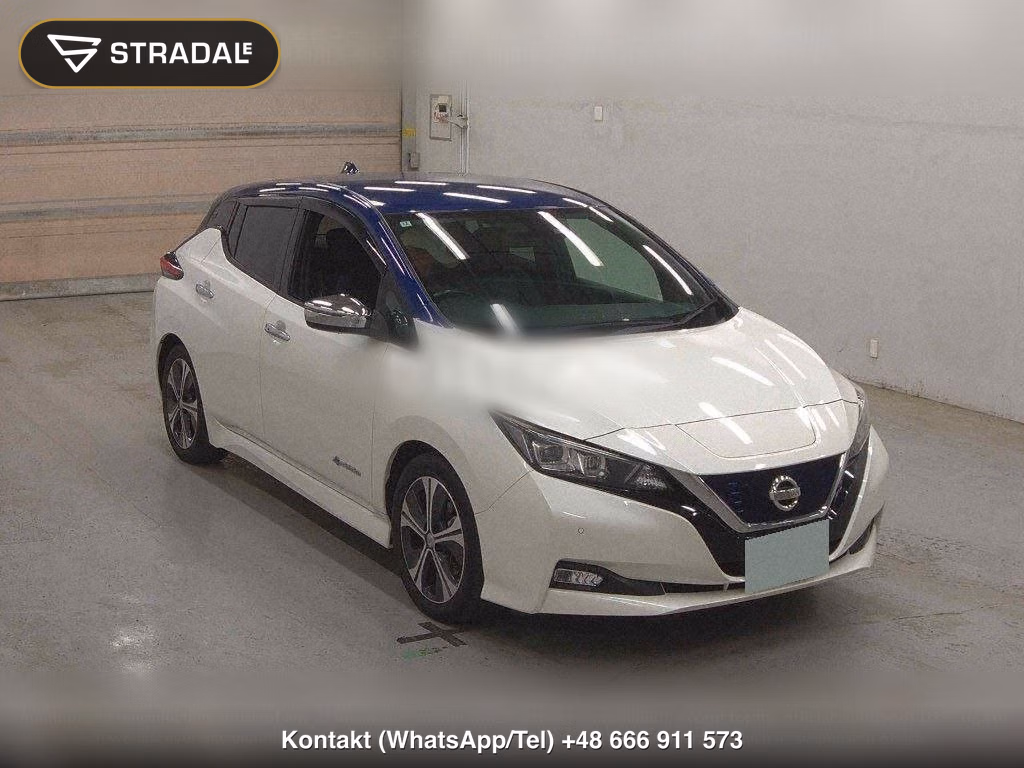 NISSAN LEAF X 10 THOUSAND UNITS MEMORIAL CAR, miniaturka 2