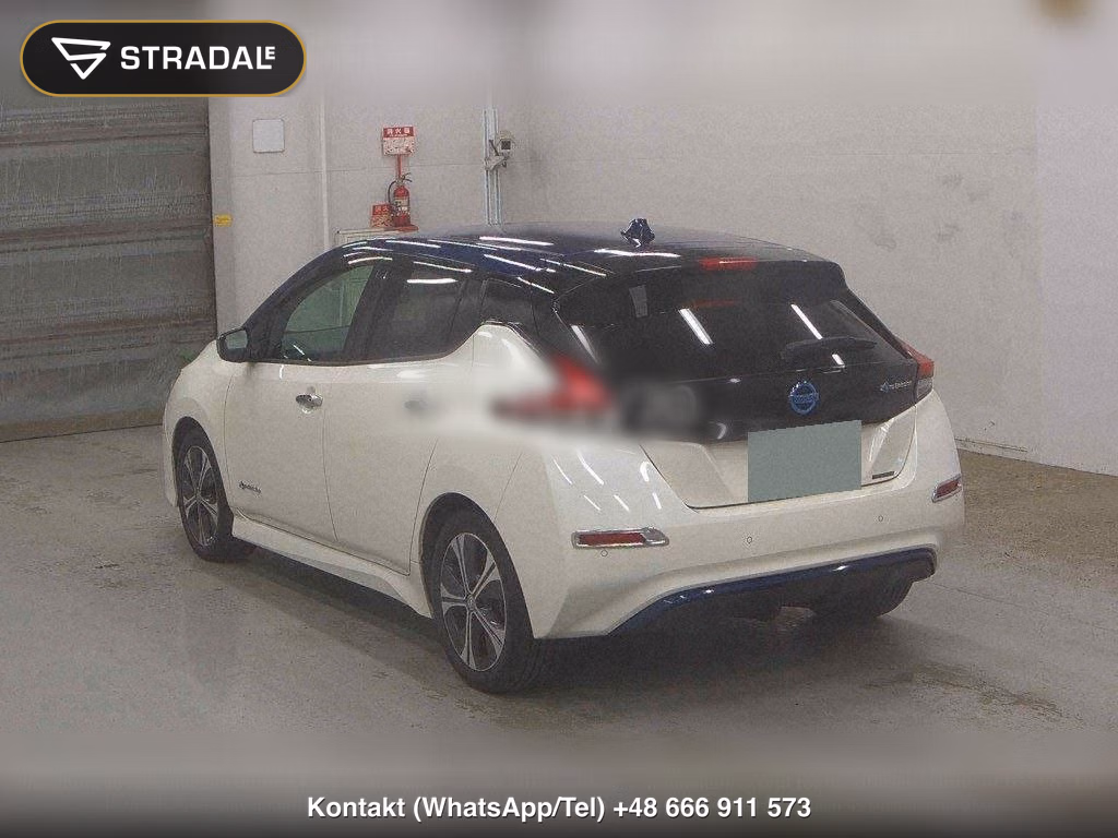 NISSAN LEAF X 10 THOUSAND UNITS MEMORIAL CAR, miniaturka 3