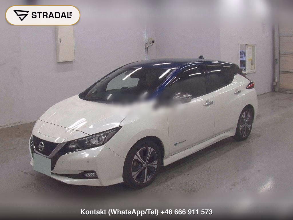 NISSAN LEAF X 10 THOUSAND UNITS MEMORIAL CAR, miniaturka 5