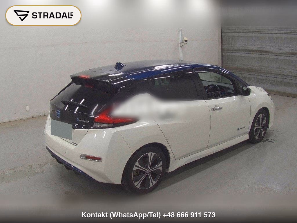 NISSAN LEAF X 10 THOUSAND UNITS MEMORIAL CAR, miniaturka 6