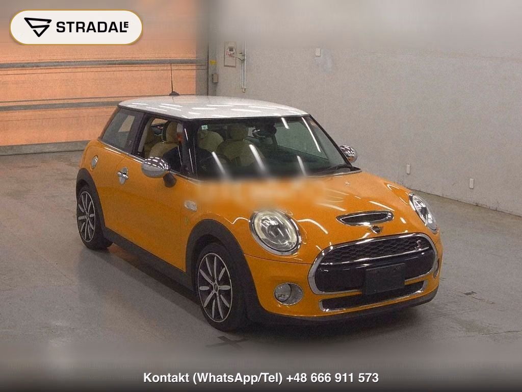 MINI MINI 3D, miniaturka 2