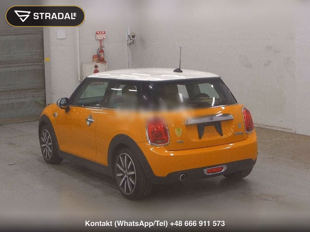 MINI MINI 3D, miniaturka 3