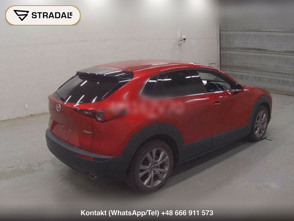 MAZDA CX-30 20S L PACKAGE, miniaturka 6
