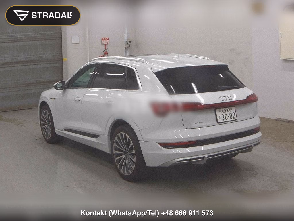 AUDI E-TRON 4WD 55 QUATTRO S LINE, miniaturka 3