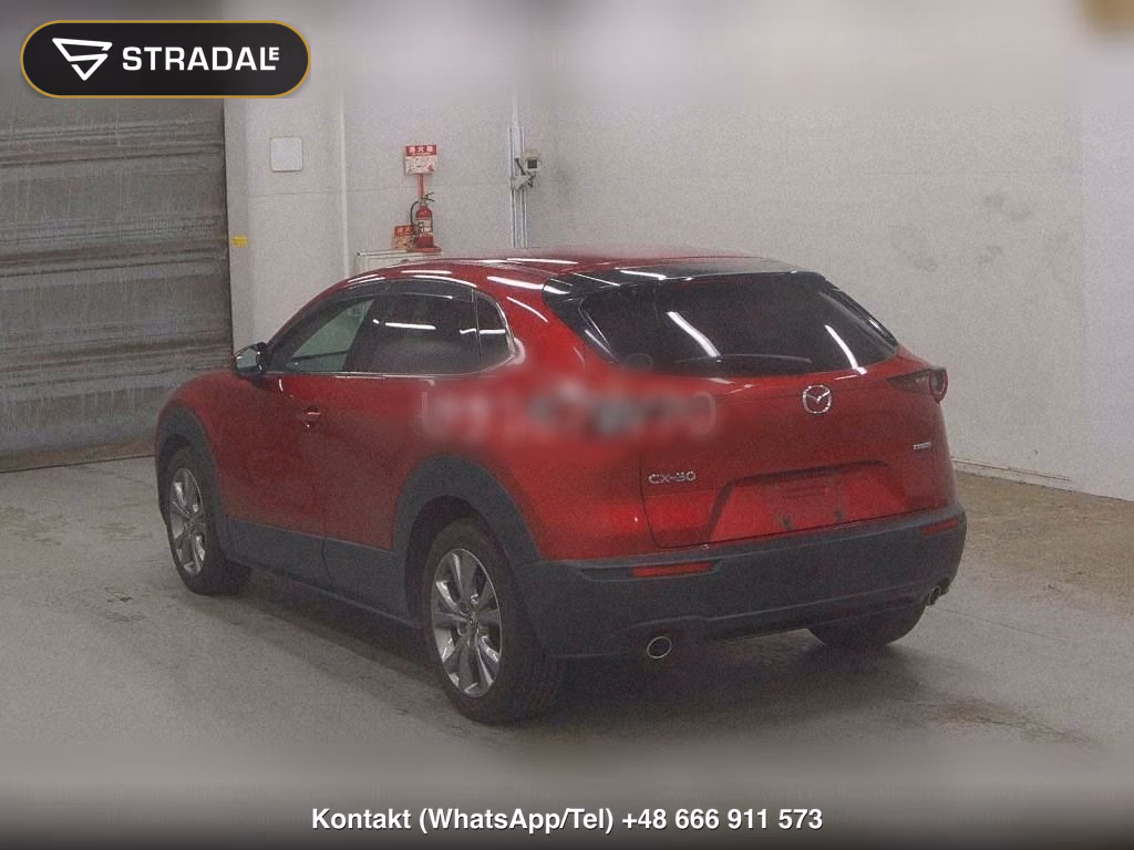 MAZDA CX-30 20S PROACTIVE TOURING SELECTION, miniaturka 3