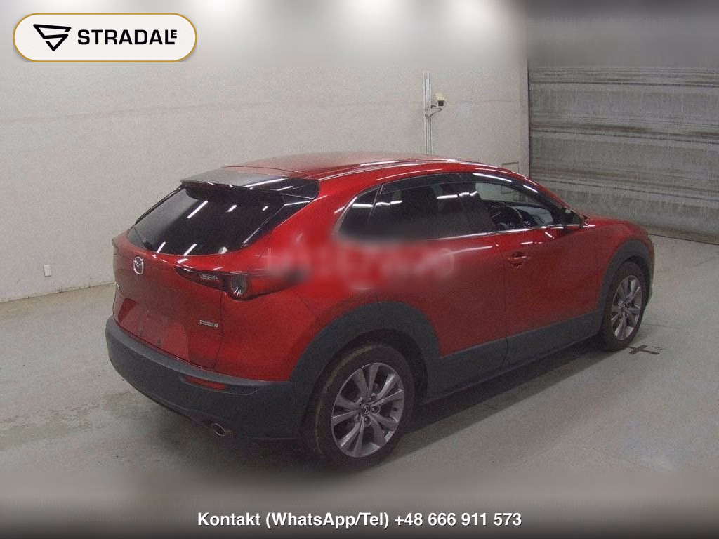 MAZDA CX-30 20S PROACTIVE TOURING SELECTION, miniaturka 6