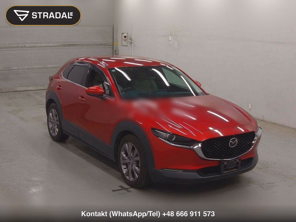 MAZDA CX-30 20S PROACTIVE TOURING SELECTION 2019, aukcja z Japonii, zdjęcie 1