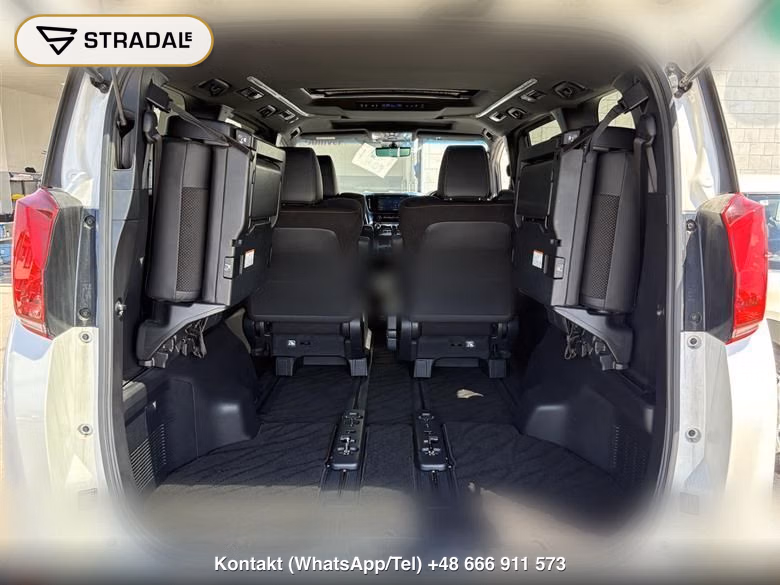 TOYOTA ALPHARD 2.5S TYPE GOLD, miniaturka 12