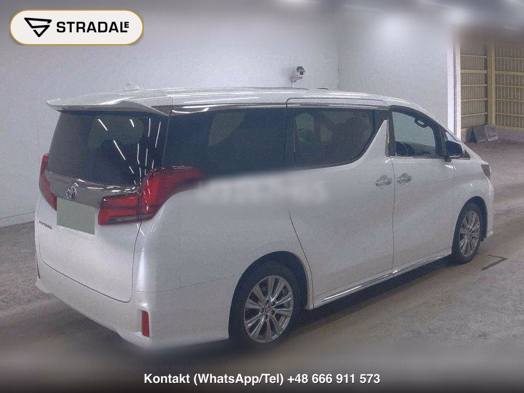 TOYOTA ALPHARD 2.5S TYPE GOLD, miniaturka 6