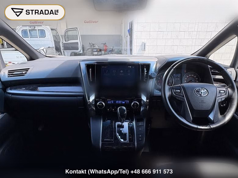 TOYOTA ALPHARD 2.5S TYPE GOLD, miniaturka 10