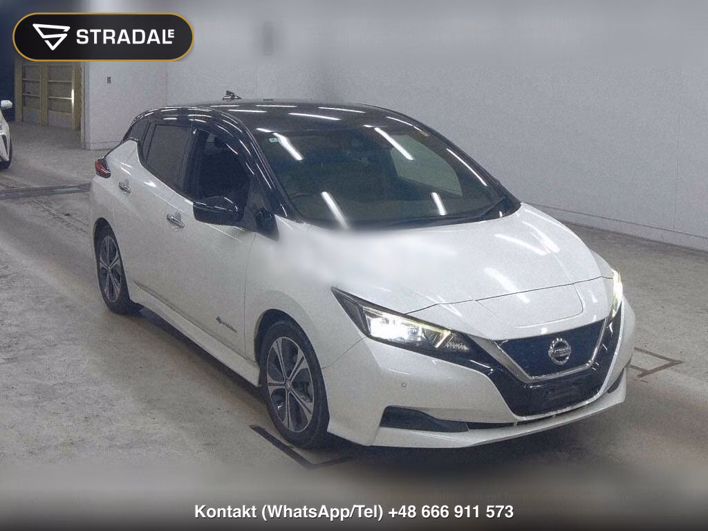 NISSAN LEAF X 10 THOUSAND UNITS MEMORIAL CAR, miniaturka 2