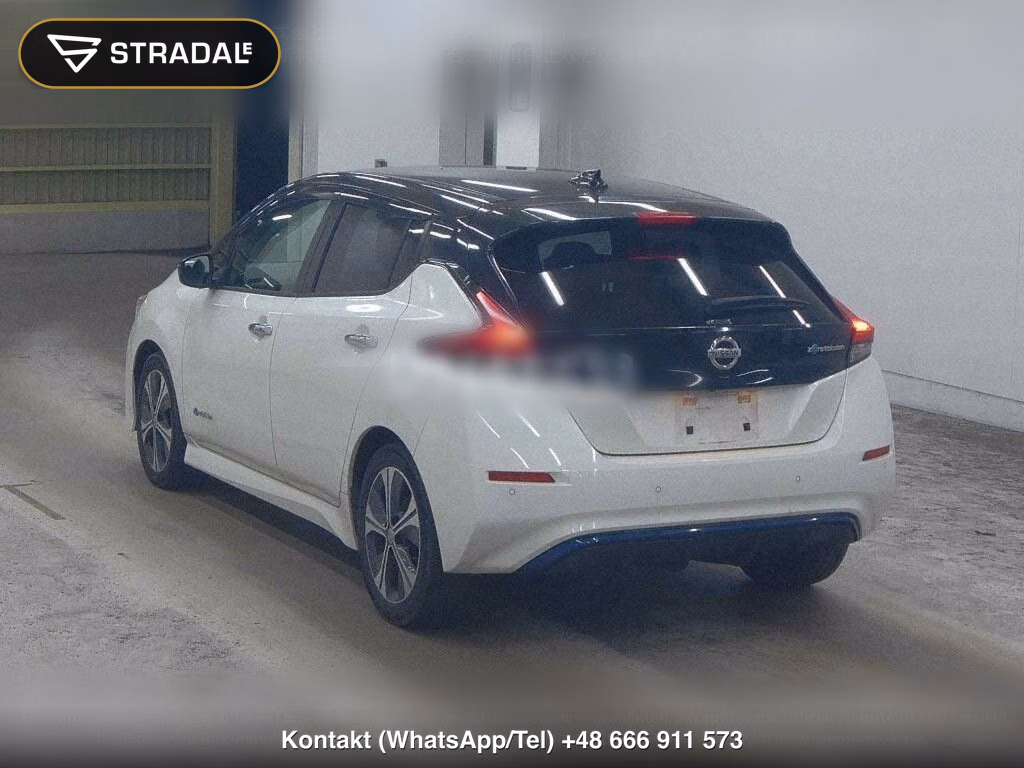 NISSAN LEAF X 10 THOUSAND UNITS MEMORIAL CAR, miniaturka 3