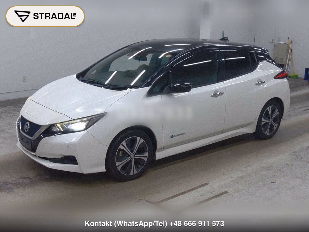 NISSAN LEAF X 10 THOUSAND UNITS MEMORIAL CAR, miniaturka 5