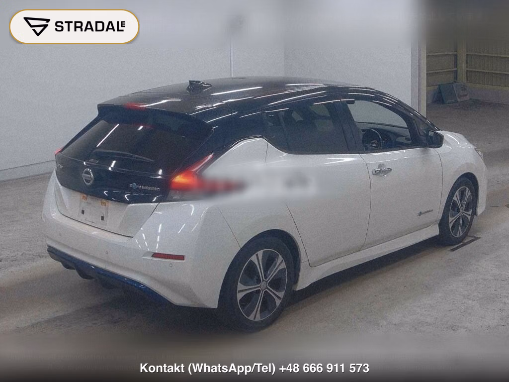 NISSAN LEAF X 10 THOUSAND UNITS MEMORIAL CAR, miniaturka 6