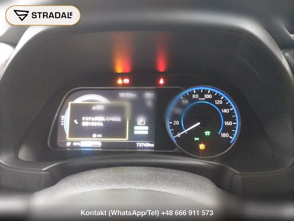 NISSAN LEAF X 10 THOUSAND UNITS MEMORIAL CAR, miniaturka 7