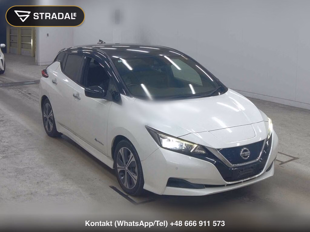 NISSAN LEAF X 10 THOUSAND UNITS MEMORIAL CAR 2018, aukcja z Japonii, zdjęcie 1