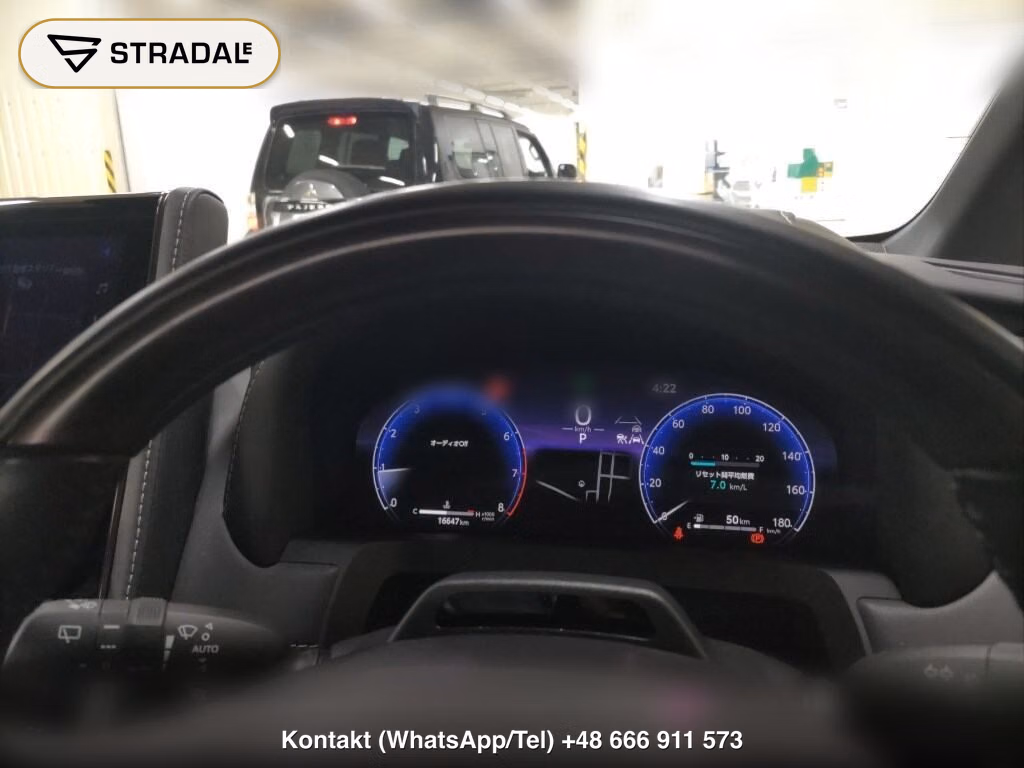 TOYOTA ALPHARD 4WD Z, miniaturka 7
