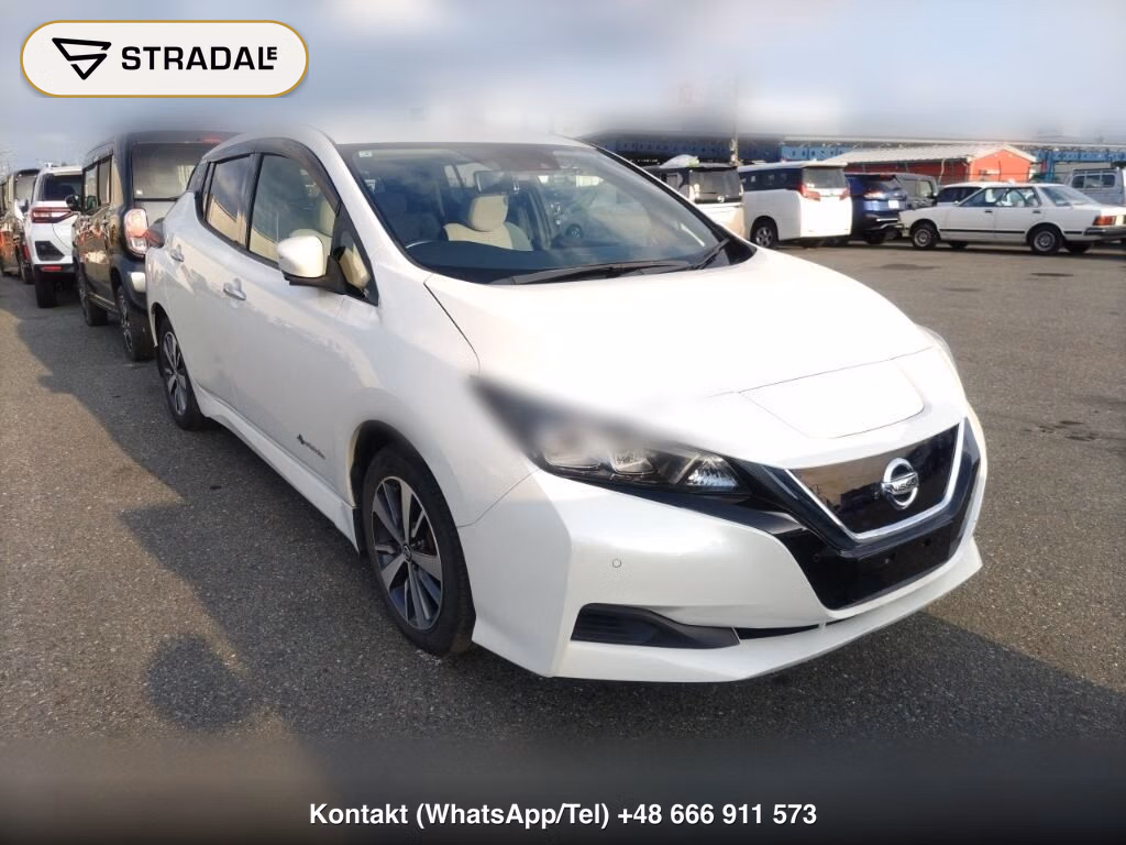 NISSAN LEAF X 2019, aukcja z Japonii, zdjęcie 1