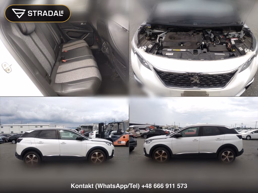 PEUGEOT 3008 BLUE HDI SPECIAL EDITION, miniaturka 7