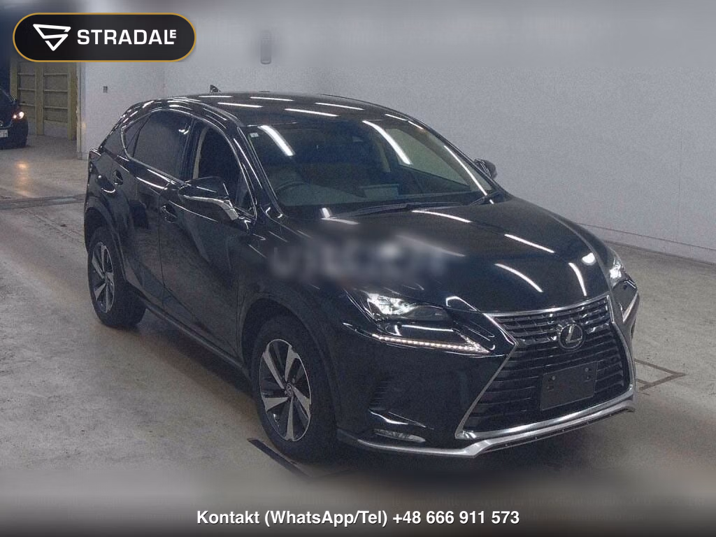 LEXUS NX NX300 SPECIAL EDITION SPICE AND CHIC, miniaturka 2