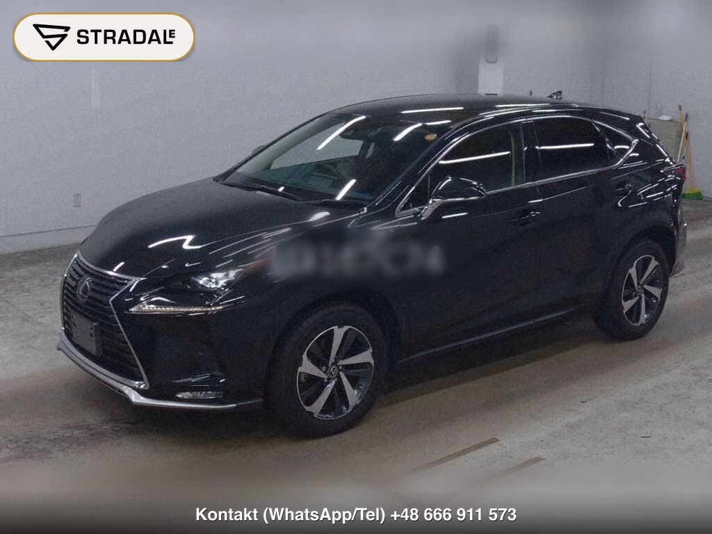LEXUS NX NX300 SPECIAL EDITION SPICE AND CHIC, miniaturka 5