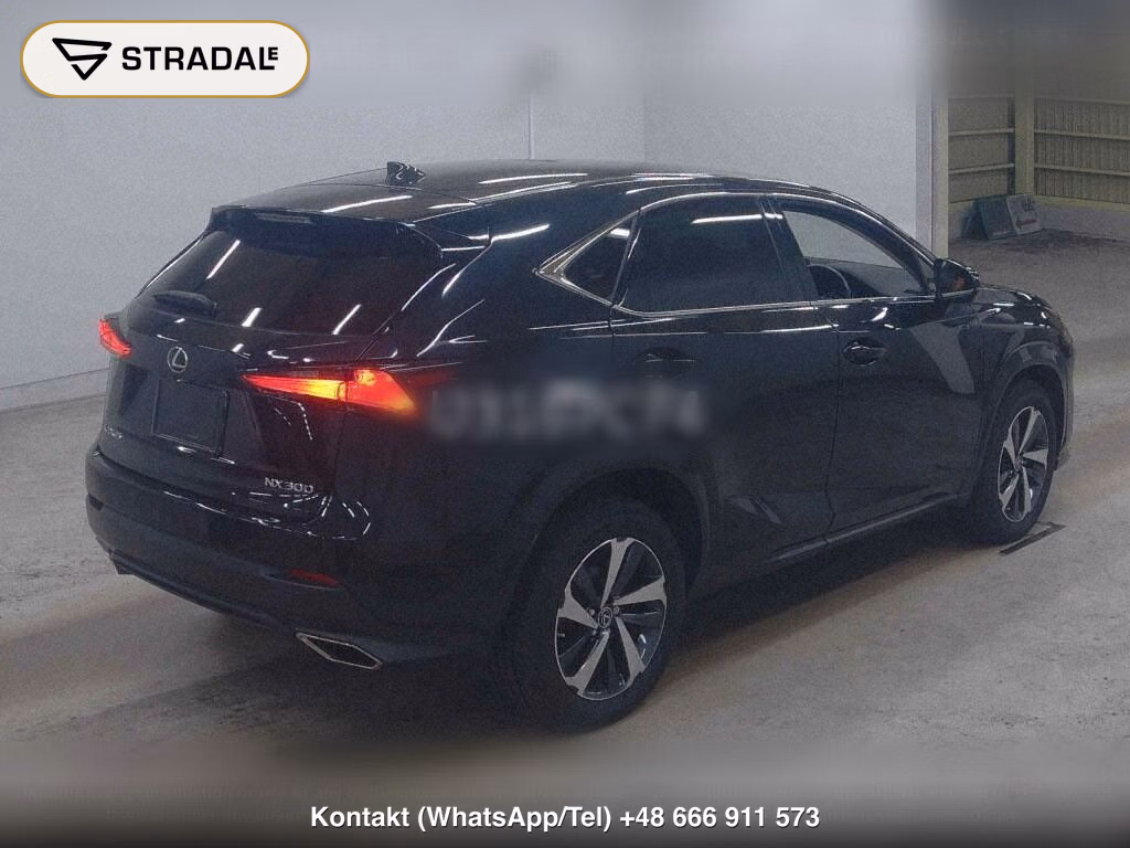 LEXUS NX NX300 SPECIAL EDITION SPICE AND CHIC, miniaturka 6