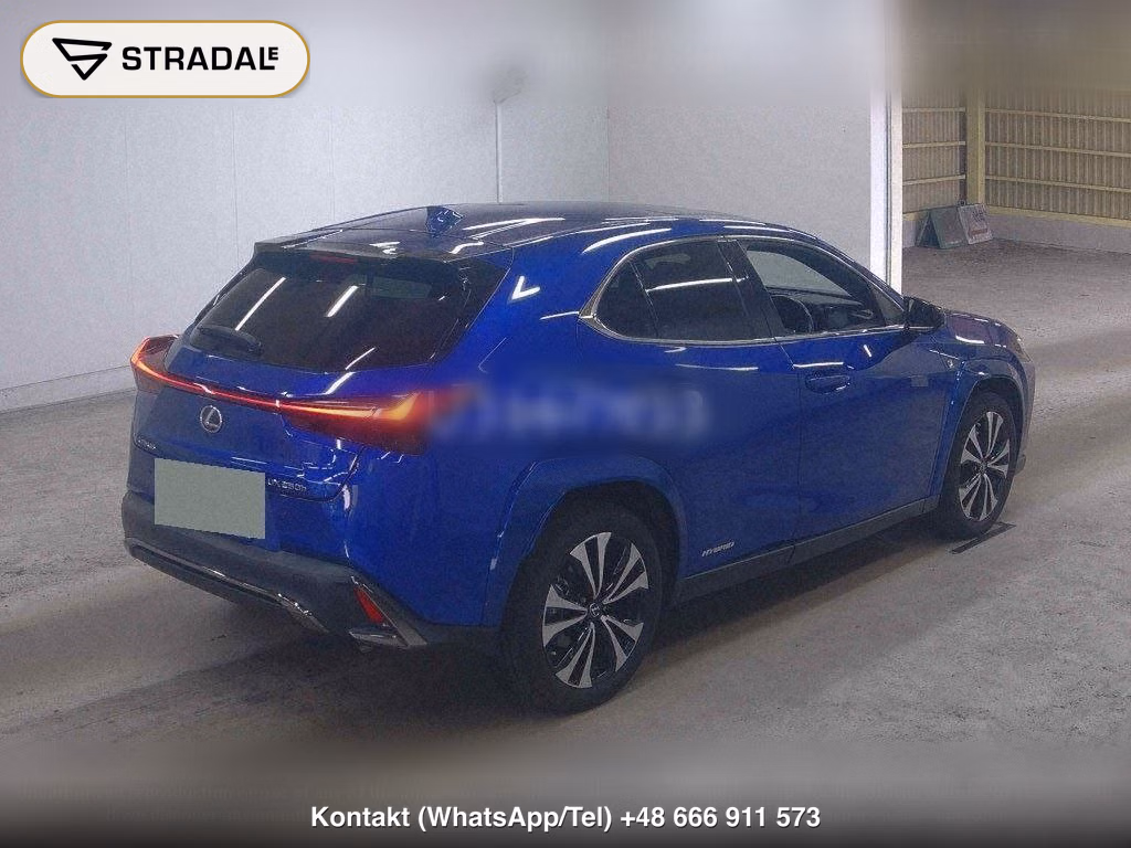 LEXUS UX UX250H F SPORT STYLE BLUE, miniaturka 6