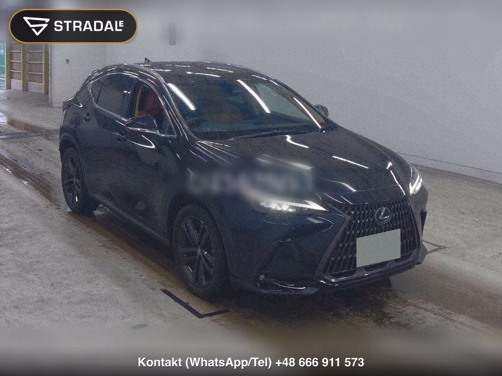 LEXUS NX 4WD NX250 VERSION L, miniaturka 2