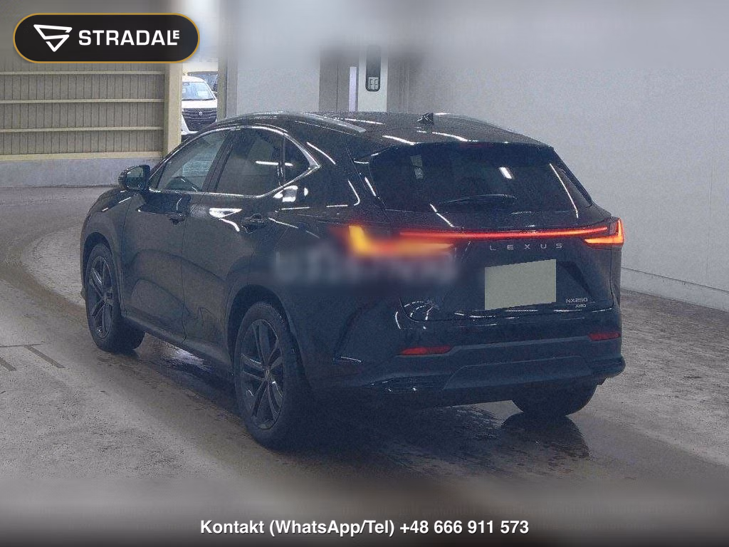LEXUS NX 4WD NX250 VERSION L, miniaturka 3