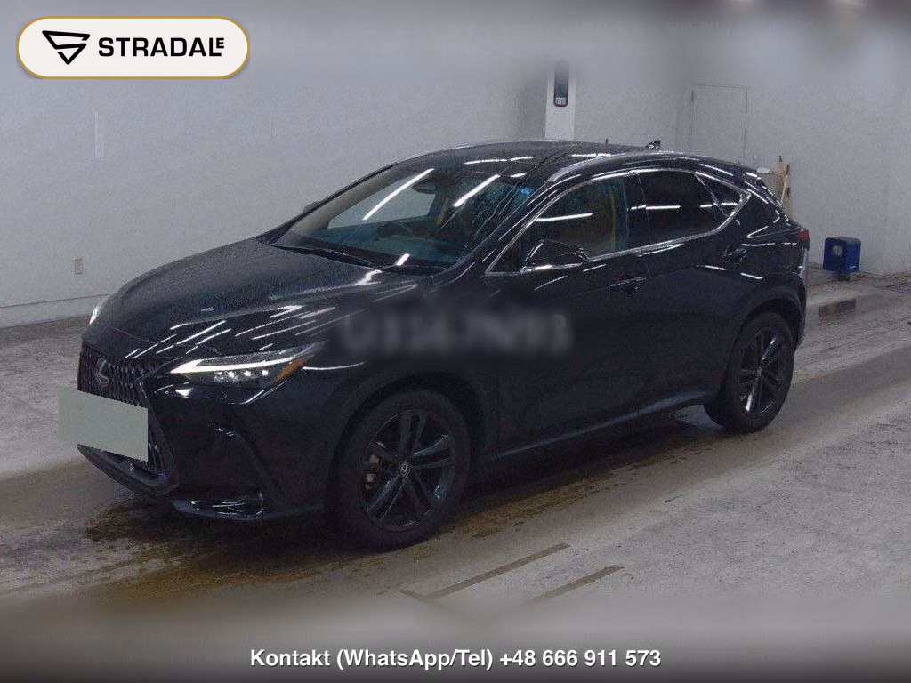 LEXUS NX 4WD NX250 VERSION L, miniaturka 5