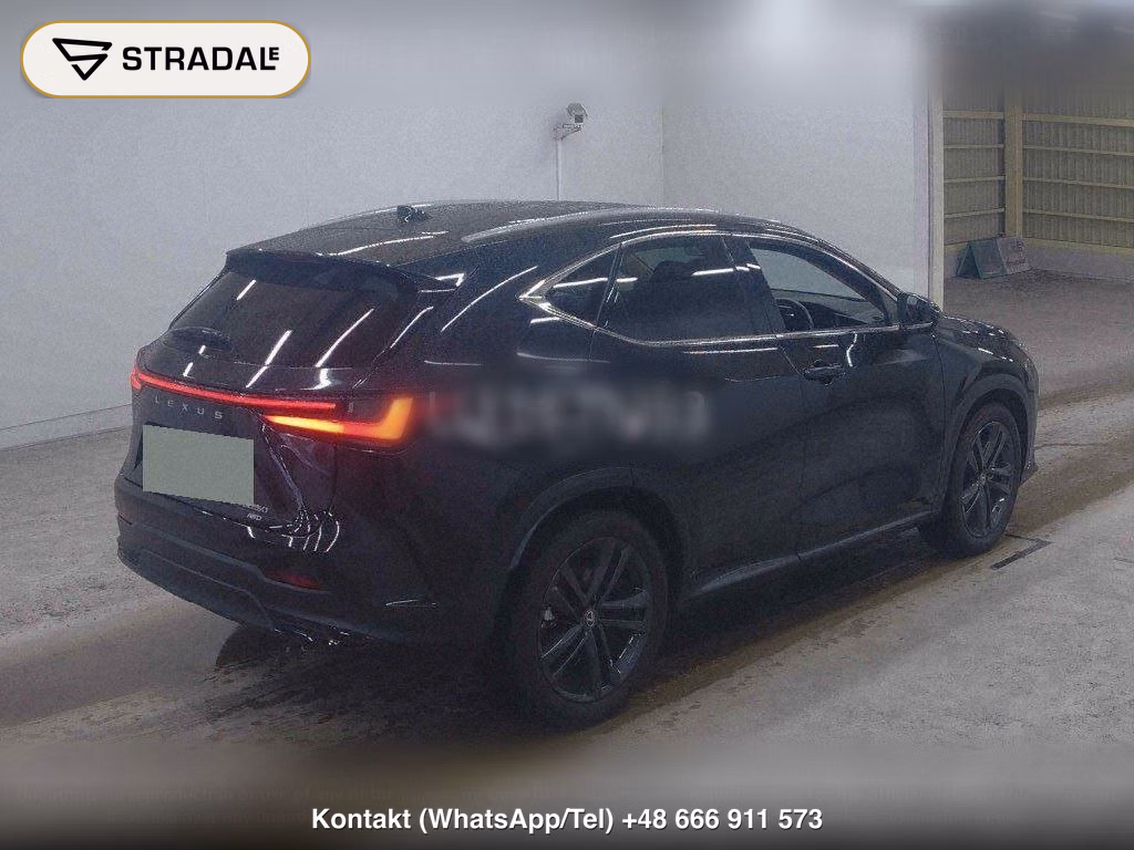LEXUS NX 4WD NX250 VERSION L, miniaturka 6