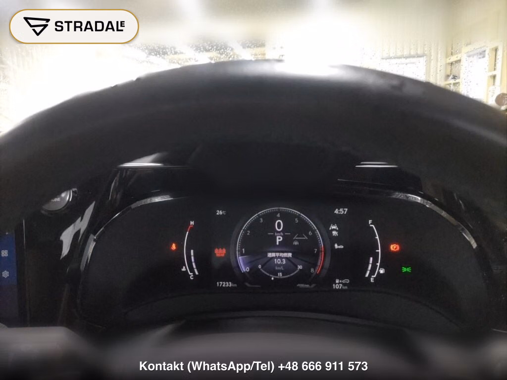 LEXUS NX 4WD NX250 VERSION L, miniaturka 7