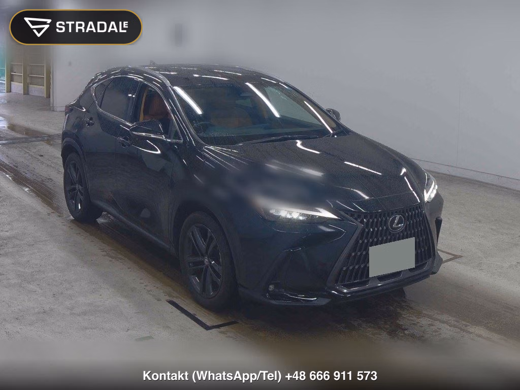 LEXUS NX 4WD NX250 VERSION L 2023, aukcja z Japonii, zdjęcie 1
