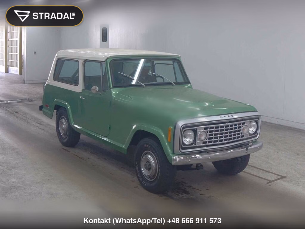AMC JEEP OTHERS 1996, aukcja z Japonii, zdjęcie 1