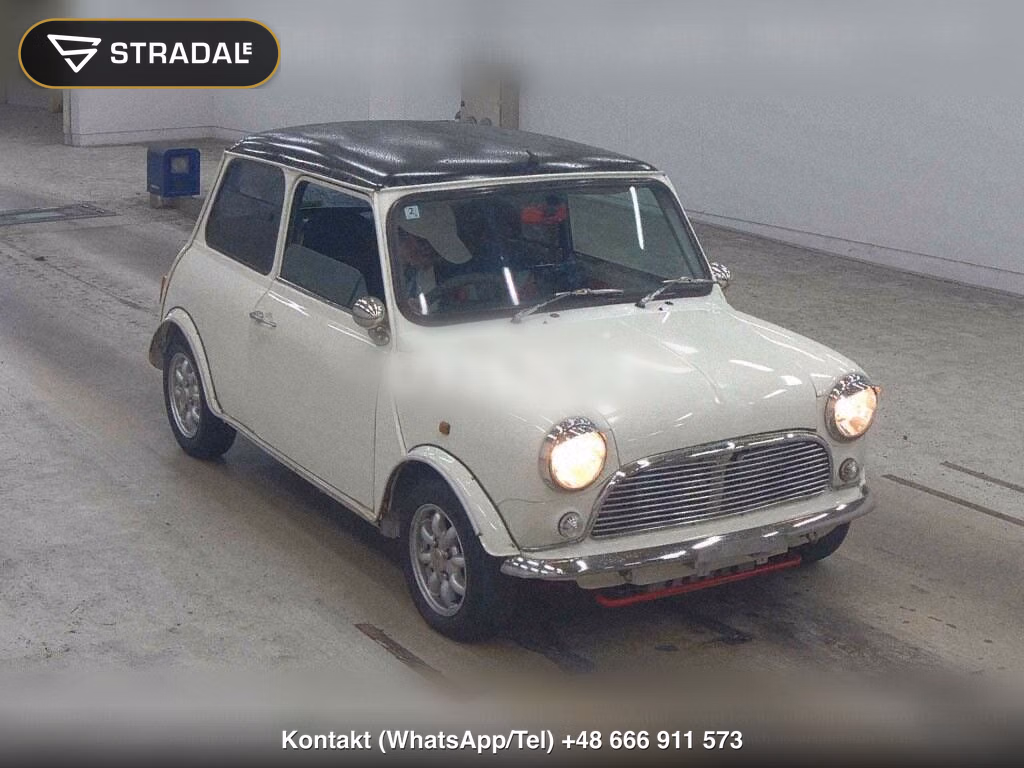 ROVER MINI 2D, miniaturka 2