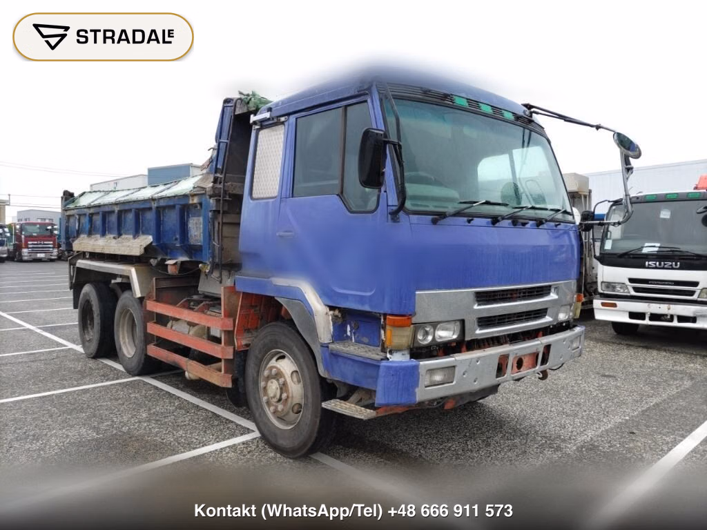 MITSUBISHI FUSO THE GREAT OTHERS 1995, aukcja z Japonii, zdjęcie 1