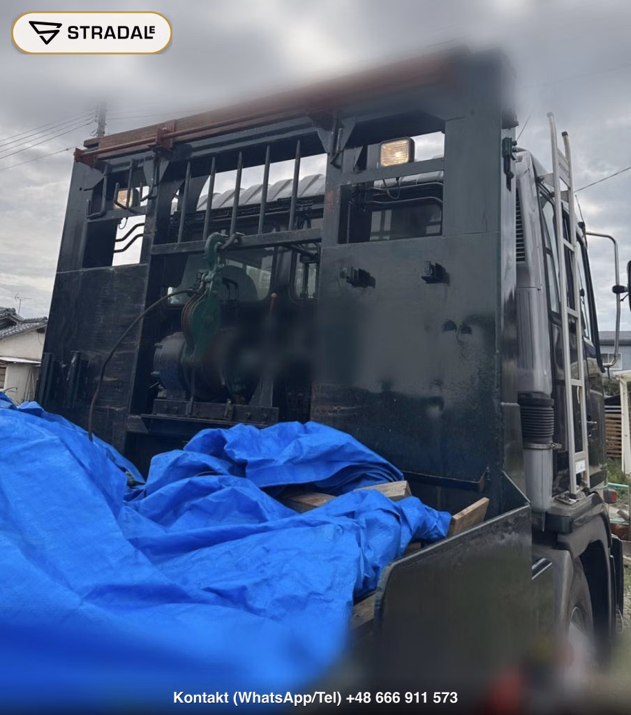 HINO PROFIA OTHERS, miniaturka 12