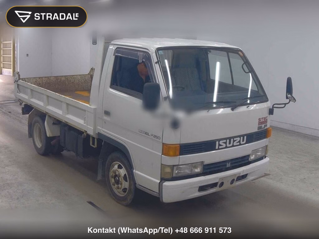 ISUZU ELF TRUCK 2D DUMP 1991, aukcja z Japonii, zdjęcie 1