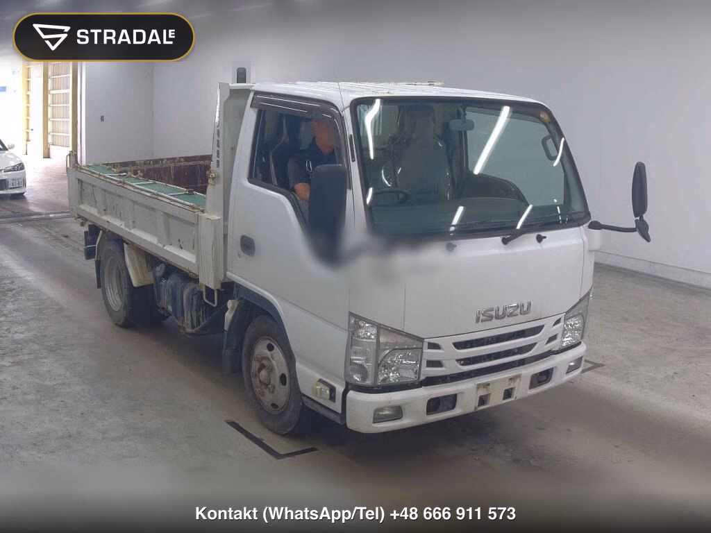 ISUZU ELF TRUCK 2D OTHERS 2019, aukcja z Japonii, zdjęcie 1