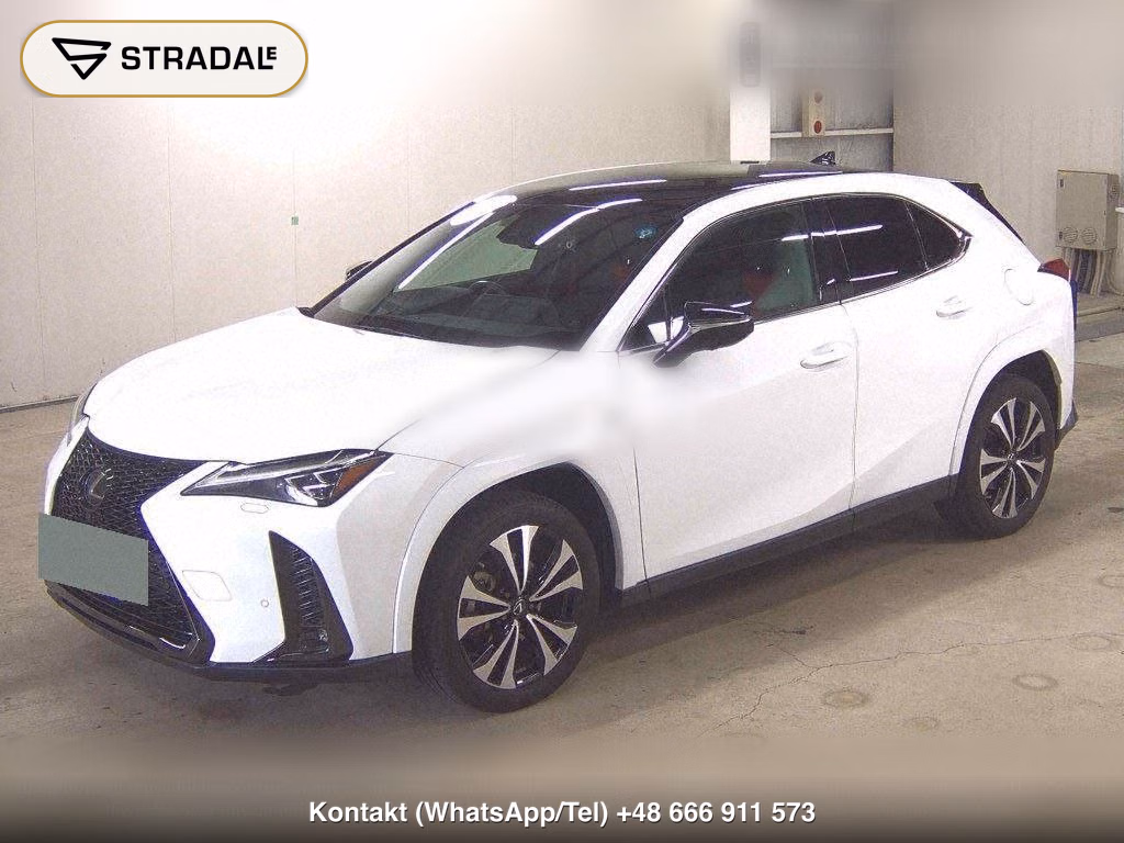 LEXUS UX UX250H F SPORT EMOTIONAL EXPLORER, miniaturka 5