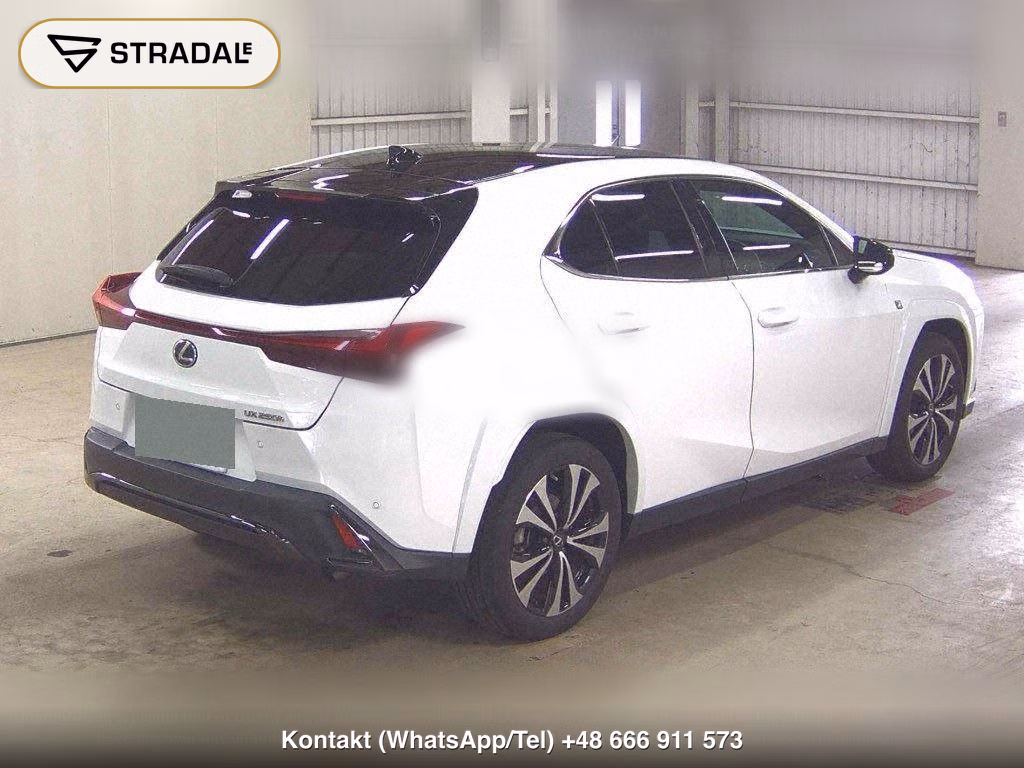 LEXUS UX UX250H F SPORT EMOTIONAL EXPLORER, miniaturka 6