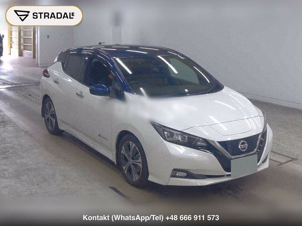 NISSAN LEAF X 10 THOUSAND UNITS MEMORIAL CAR, miniaturka 2