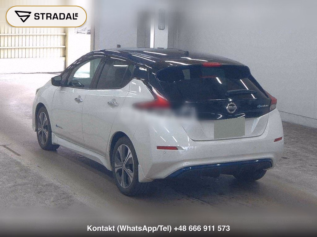 NISSAN LEAF X 10 THOUSAND UNITS MEMORIAL CAR, miniaturka 3