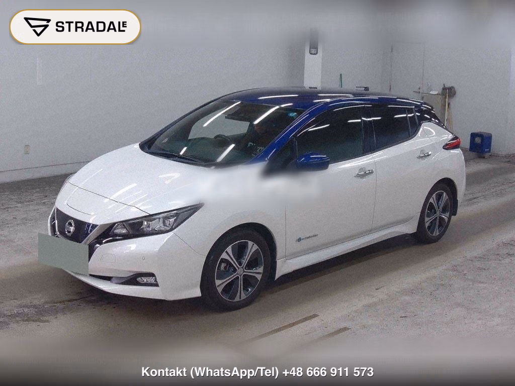 NISSAN LEAF X 10 THOUSAND UNITS MEMORIAL CAR, miniaturka 5