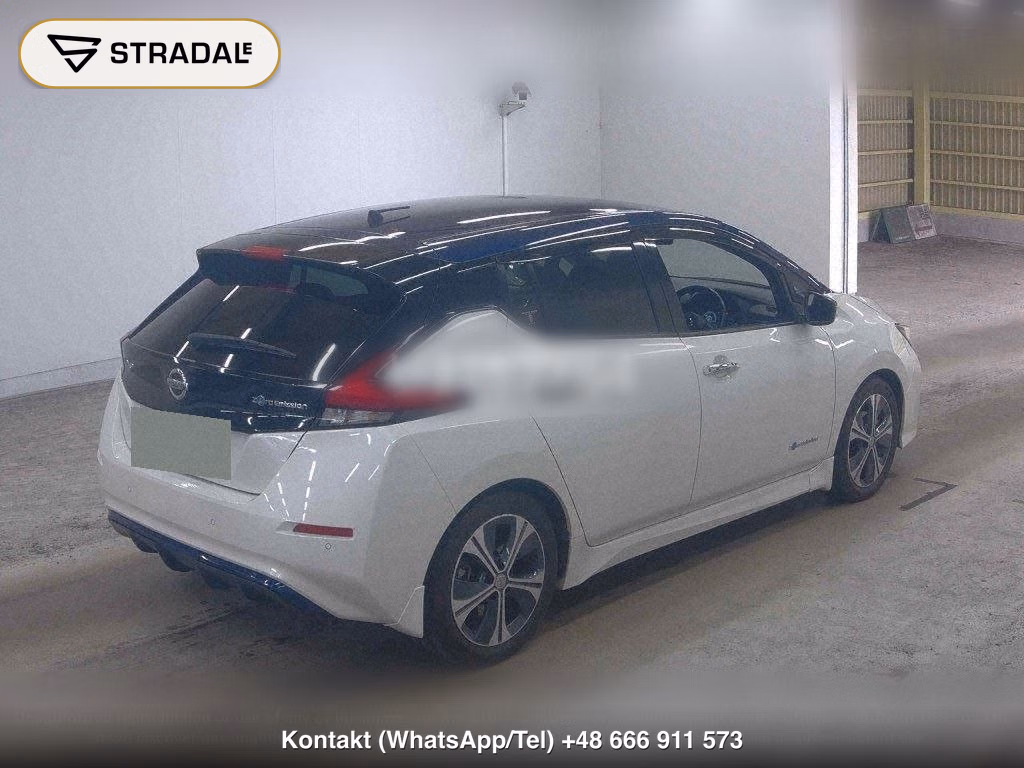 NISSAN LEAF X 10 THOUSAND UNITS MEMORIAL CAR, miniaturka 6