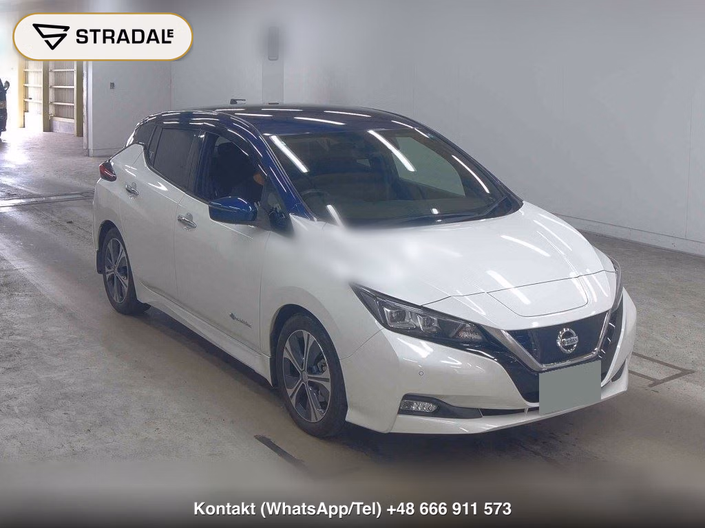 NISSAN LEAF X 10 THOUSAND UNITS MEMORIAL CAR 2019, aukcja z Japonii, zdjęcie 1