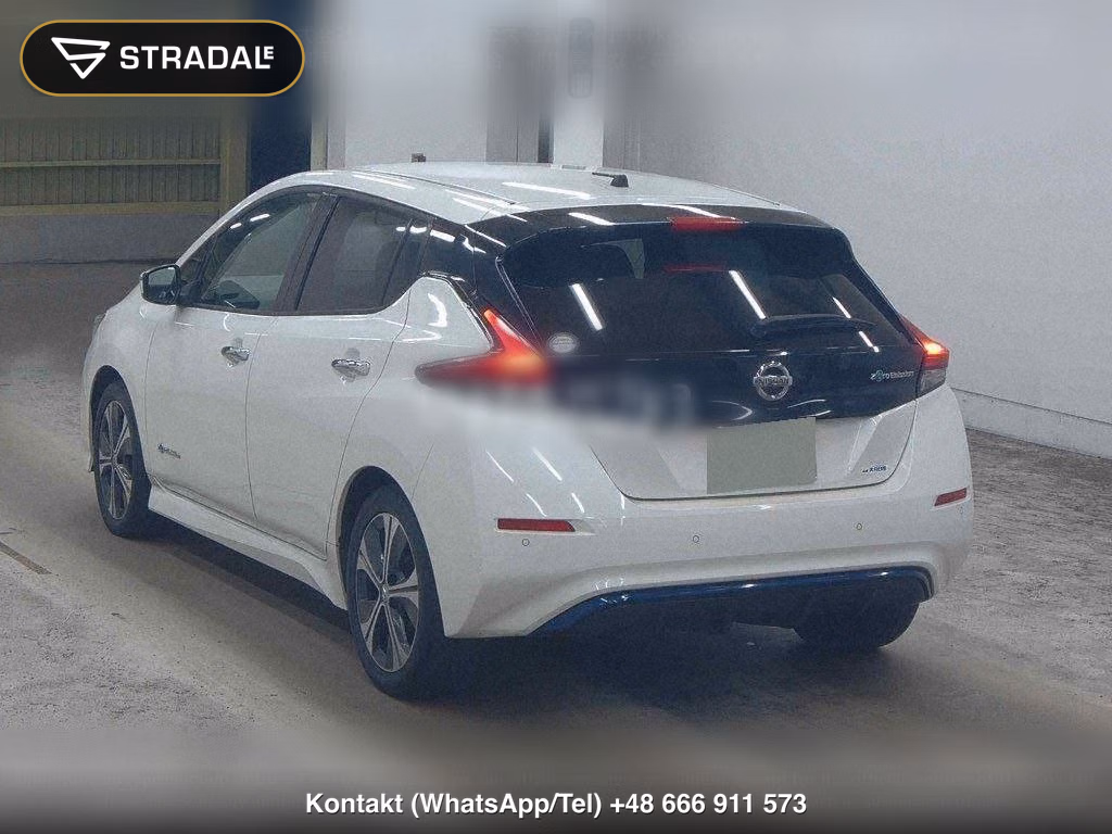 NISSAN LEAF X 10 THOUSAND UNITS MEMORIAL CAR, miniaturka 3
