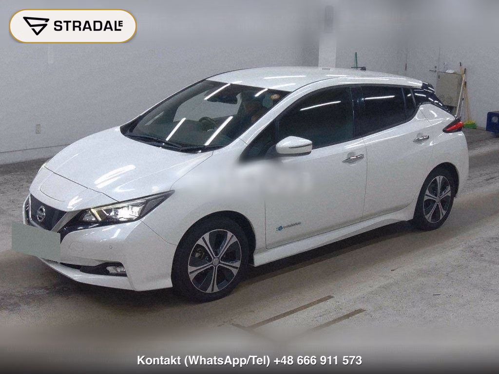 NISSAN LEAF X 10 THOUSAND UNITS MEMORIAL CAR, miniaturka 5