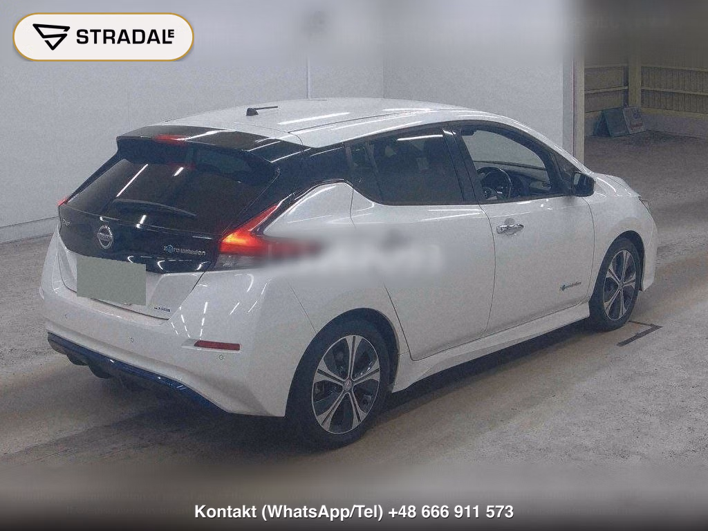 NISSAN LEAF X 10 THOUSAND UNITS MEMORIAL CAR, miniaturka 6