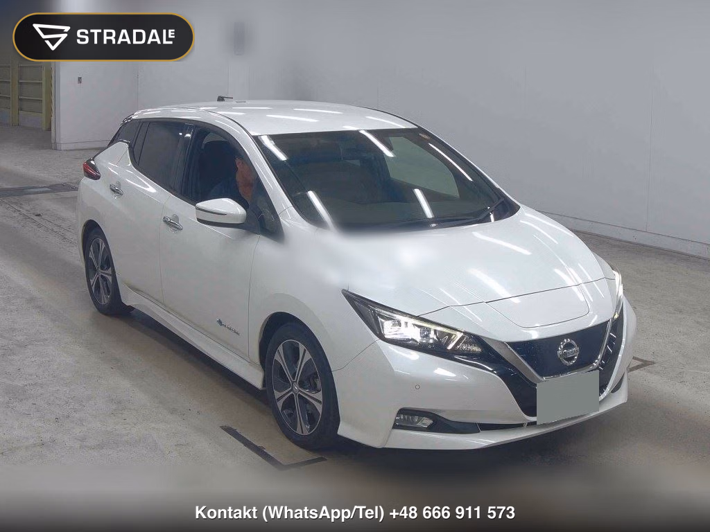 NISSAN LEAF X 10 THOUSAND UNITS MEMORIAL CAR 2018, aukcja z Japonii, zdjęcie 1